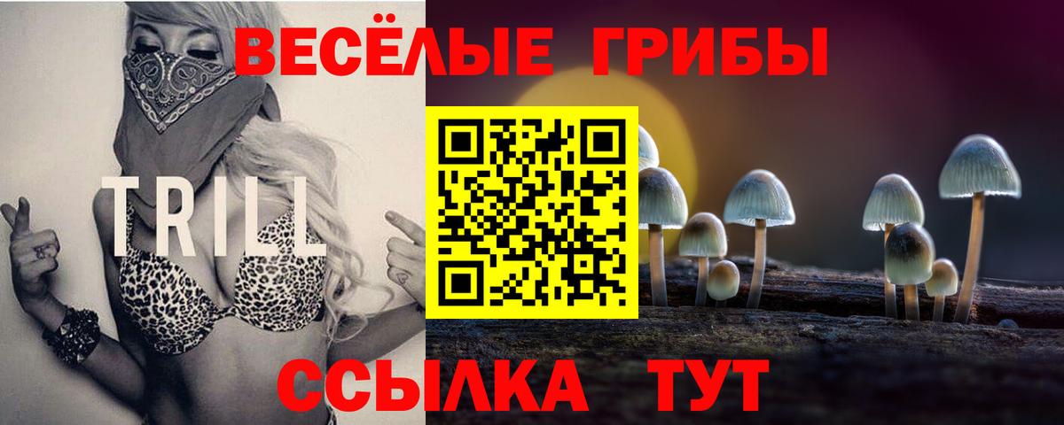 Галлюциногенные грибы мухоморы Амурск
