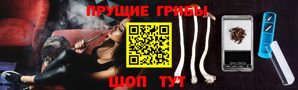 Амурск  Псилоцибиновые грибы Psilocybine cubensis  Вход с VPN 